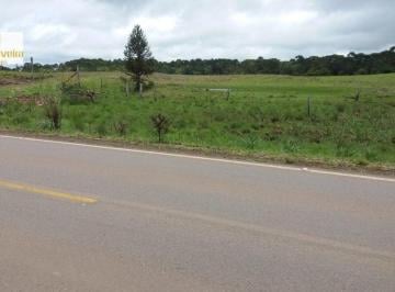 Rural · 35ha · Fazenda para Venda em Azulêga Cambará do Sul-RS