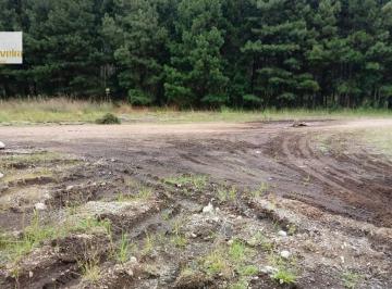 Terreno · 22000m² · Terreno para Venda em Distrito Industrial São Francisco de Paula-RS
