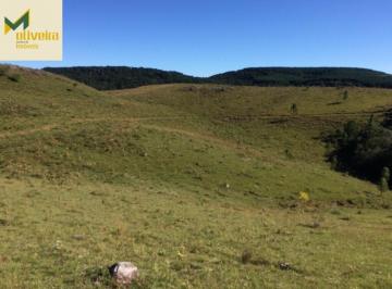 Rural · 277ha · Fazenda à venda no bairro Eletra - São Francisco de Paula/RS