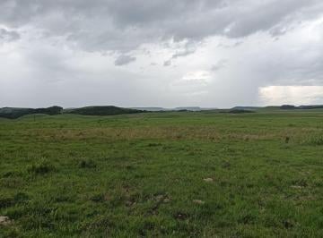 Rural · 434ha · Fazenda para Venda em Boa Vista Cambará do Sul-RS