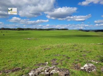 Rural · 65ha · Fazenda para Venda em Várzea do Cedro São Francisco de Paula-RS