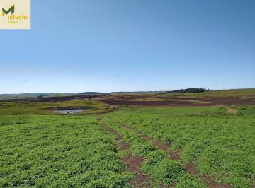 Rural · 60ha · Área de 60 há, praticamente só lavoura!!