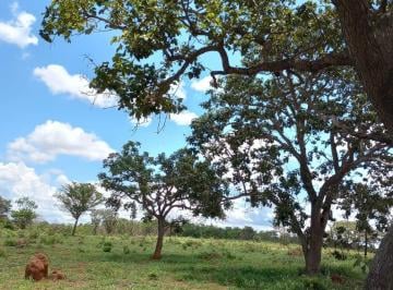 Terreno · 5000m² · Terrenos de 5.000m2 - Terra boa para cultivo, área plana com agua no fundo, localizados na cidade d