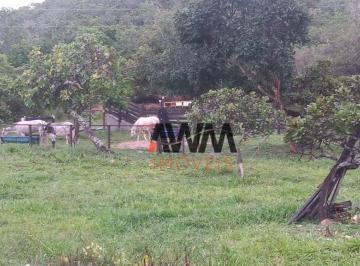 b649bd18385fb7cdcf483e6e45ab31ffee233f9b · Fazenda à venda, 77.44 hectares por R$ 3.200.000 - Centro - Goiás/GO