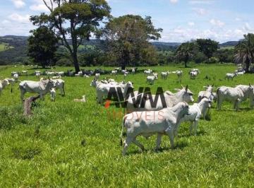 82c79a26f652fcd16c3189be946b1365864668cd · Fazenda à venda, 5008300 m² por R$ 55.000.000,00 - Centro - Leopoldo de Bulhões/GO