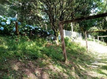 213194_i017ZrI5_21319461bd14d4197d0.jpg · Terreno com Área de 3.600 M 2 Á VENDA no Bairro Cascata - Porto Alegre - RS