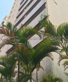 130194_ih156z238o6aY8g_13019466e32e4dba33f.jpg · Apartamento à venda em Pinheiros