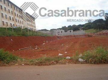 1d72c8faef16a0dc944e67ba3326d69c87126c4a · Excelente área para Condomínio Horizontal ou Vertical/29.000m2/Testada=192m/Localização privilegiada