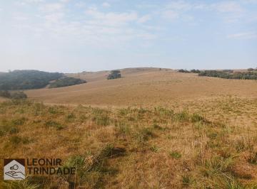 Rural · 60ha · CAMPO de 598.674,85 m² para criação de gado, Criúva, Caxias do Sul, RS