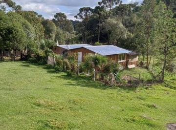 Rural · 100m² · 3 Quartos · 2 Vagas · VERDADEIRO PARAÍSO! Chácara de 2 hectares com casa e rio em Rincão das Flores, Caxias do Sul, RS