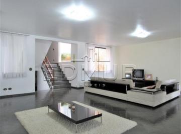 Casa · 800m² · 4 Quartos · Casa para aluguel - em Campestre