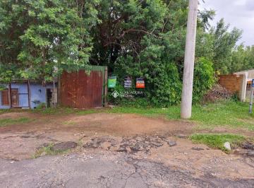 398315_iS1j62_39831563de664489b63.jpg · Terreno no bairro Espirito Santo