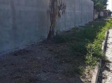 Comercial · 375m² · Galpão à Venda no Bairro Campo Belo