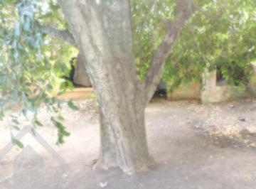 154233_iauxiliad154233_638290.jpg · Terreno com 333m² de área no bairro Camaquã
