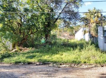 146516_i99X6625rEugN7eKJla_1465165fa30e6419b5c.jpg · Excelente terreno com 342,54 m² bem localizado no bairro Vila Conceição