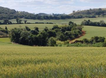 Rural · 121000m² · Área RURAL 5 Alq. à venda em Irerê prox. PR 445 - R$ 500.000 por alqueire - Londrina/PR