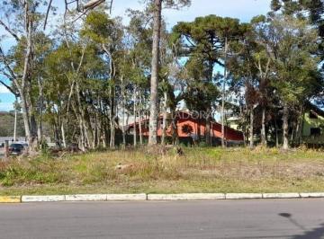 347519_i66opz43N6973L2CVm59n_3475196115548372123.jpg · Terreno no bairro Carniel
