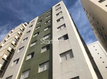 0 · apartamento para aluguel em Cambuí