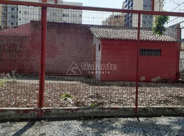 0 · terreno para aluguel em Cambuí