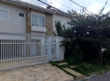 0 · casa para aluguel em Parque Alto Taquaral