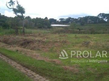 prolar_10361_iw9W1340agn44736X65_103615c66f9bed067b.jpg · Terreno no Nossa Sra da Saúde