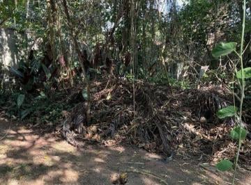 28fc6473482f7d3c0495de22ddb040a2ce795fa4 · Terreno à venda, 2520 m² por R$ 980.000,00 - Paisagem Renoir - Cotia/SP