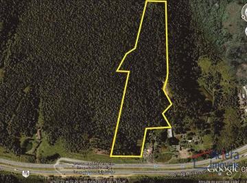 a41a17b0d197d5007304d6483e64291f01fd7374 · ÁREA 63.202,79 m² às margens da Rod. Regis Bittencourt - Km 297 + 150m.