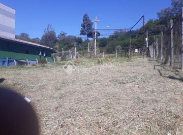 335225_i1x3m2a0T51Z82m0_3352256052402cb18df.jpg · Terreno no bairro Mauá