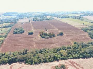 10772979900.jpg · [Venda] – Sítio – Gleba Patrimônio Maringá, Maringá/PR – Próximo à Bunge, Cocamar e antes do Creveli