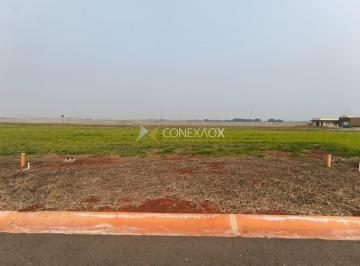 0 · terreno à venda em Betel