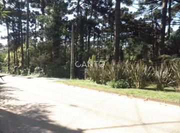 Rural · 110m² · 3 Quartos · 10 Vagas · Chácara pertinho de Curitiba-PR à venda, 10000 m²