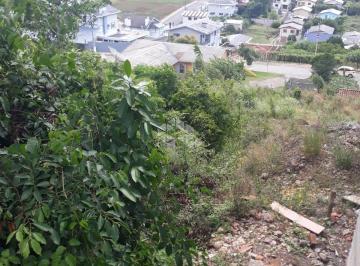 212076_i47319Cv8P8jkiZdnp933_21207661a7ca3eec704.jpg · Terreno a venda em Garibaldi, ótima localização.