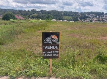 136195_iZO06_1361956019a559884bf.jpg · Amplo terreno