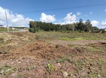 prolar_14975_i8X96jnRb90976Ft9R5_14975627aa69e5dfee_o.jpg · Terreno em Forqueta