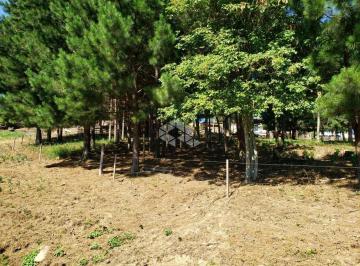 212593_i26U85_21259361b0fb3ec5292.jpg · Excelente terreno para construção de prédios, Nossa Senhora do Rosário, Caxias do Sul