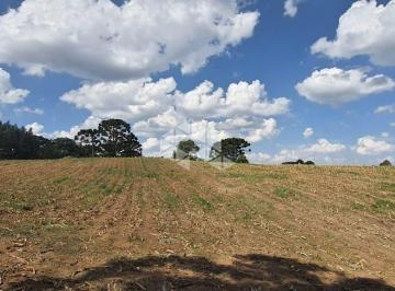 211567_iRW75h6ydw_211567619e324e7fafa.jpg · Terreno  com 10.875m²  no bairro  Forqueta Caxias do Sul