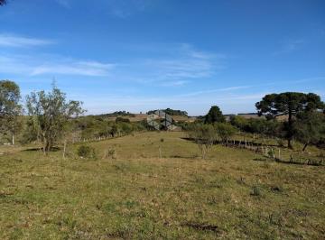 258895_i301TH6o8_25889563907f94ab07a.jpg · Área de terras com 56 ha em Cazuza Ferreira, São Francisco de Paula RS