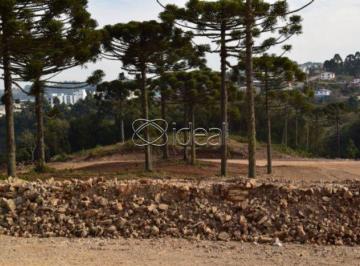 fotosideal_17209_iidealimo17209_1132791.jpg · EXCELENTE TERRENO INDUSTRIAL EM ANA RECH- CAXIAS DO SUL