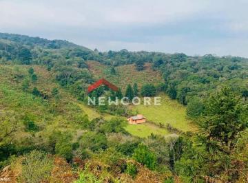 Terreno · 100m² · 3 Quartos · Lote em  Estrada Boa Esperança - Caconde - São Francisco de Paula/RS