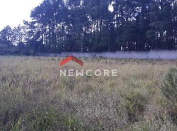 Terreno · 5861m² · Lote em Rua Oscalina Mendes Rodrigues - Filipinho - Embu-Guaçu/SP