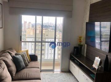 fbf6baf2f7de1ce4cae1fa40eadf9ace68aa3916 · Apartamento com 3 dormitórios à venda, 68 m² por R$ 530.000,00 - Vila Guilherme - São Paulo/SP