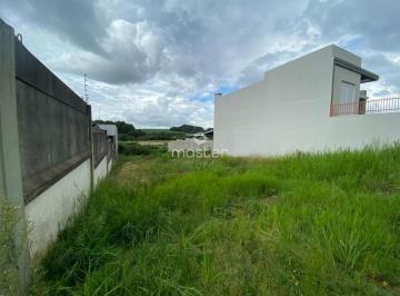 g1_102204_206889_1726_290224.JPG · TERRENO 495M² NO BAIRRO CIDADE NOVA