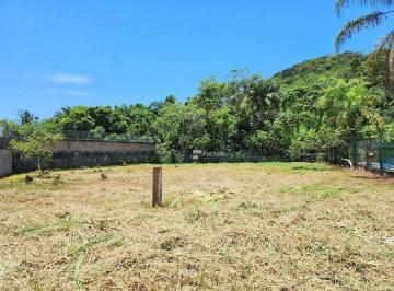 1d1c2eec3e1809aada435a6000890e04b0265fd5 · Terreno à venda por R$ 650.000 - Pernambuco II - Guarujá/SP