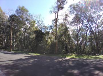 243309_ilQA2O14_24330962e2d82d9bb10.jpg · Terreno com 800,55m² no Condomínio Villa Nova de Gaia, no Centro de Gramado