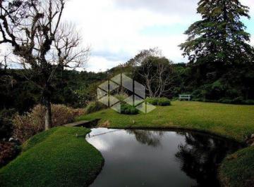 243030_iWa74VWbT8b3hs84j_24303062e0302281815.jpg · Terreno com 4.152m², no Bairro Planalto em Gramado