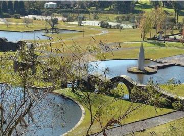250557_i28r78Y76rnP3_250557633737dca5594.jpg · Terreno com 1.716,38m² no Quinta da Serra - Canela