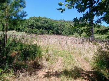 Rural · 307100m² · Terreno/sítio/área/chácara com 30,71 hectares na linha bonita, em Gramado