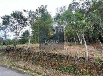 Terreno · 2000m² · Lote / Terreno em Centro - São Lourenço da Serra