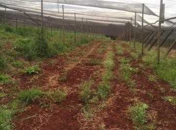 Rural · 3378m² · 2 Quartos · VENDA | Chácara, com 2 dormitórios em área Rural, Marialva