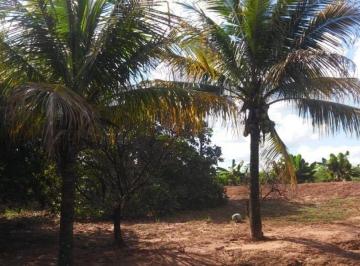 Rural · 145200m² · 3 Quartos · 1 Vaga · VENDA | Sítio, com 3 dormitórios em Gleba Andira, Mandaguaçu